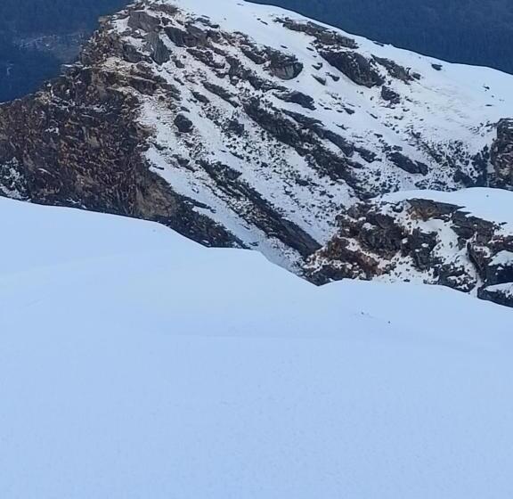 Chopta House Hotel And Restaurant