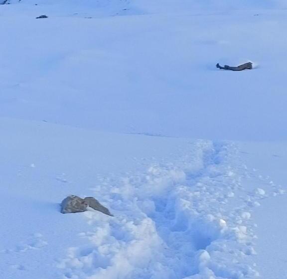 Chopta House Hotel And Restaurant