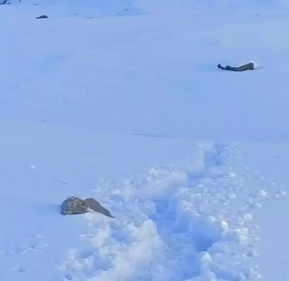 Chopta House Hotel And Restaurant