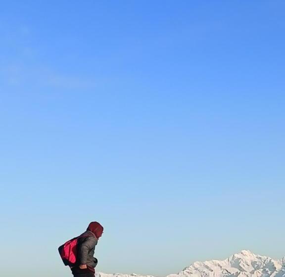 Chopta House Hotel And Restaurant