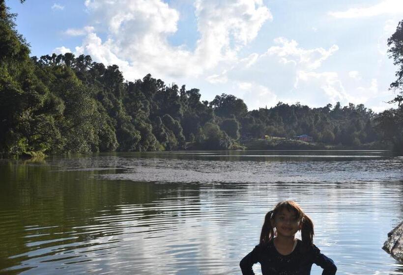 Chopta House Hotel And Restaurant