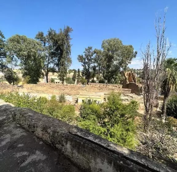 هتل Du Parc