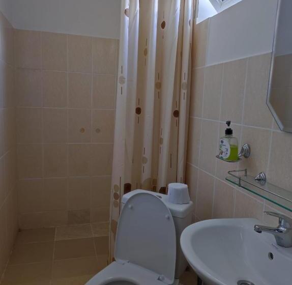 پانسیون уютный дворик чолпон ата