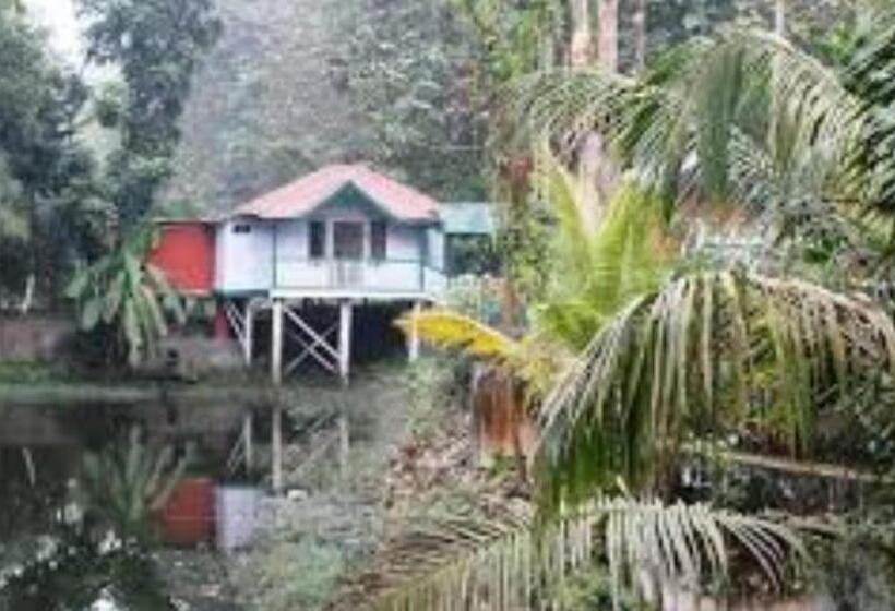 Lomakeskus Akarshan Bono Bunglow