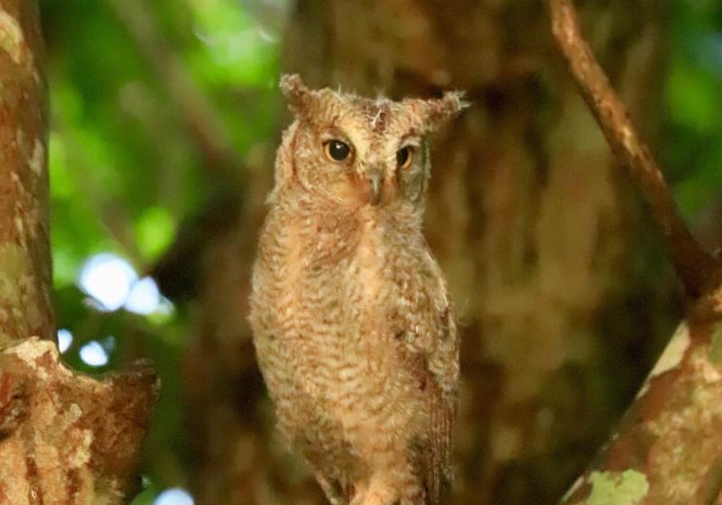 هتل Sky Ocean Ishigaki