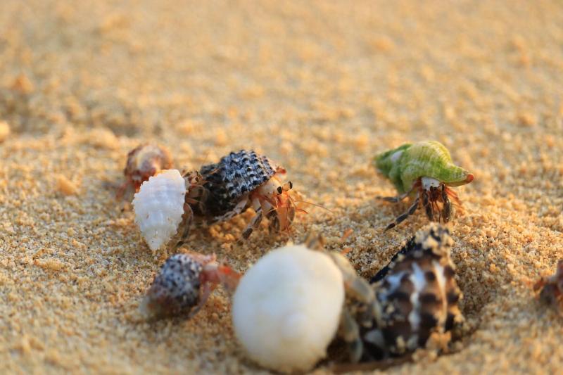 هتل Sky Ocean Ishigaki