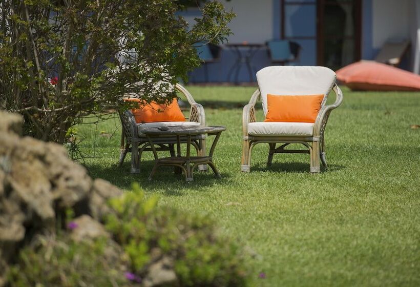 ホテル Casa Vicentina