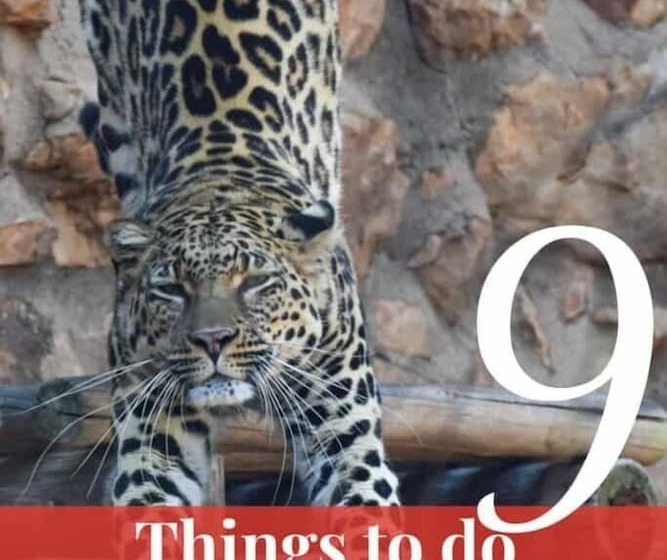 Отель Gold Reef Place