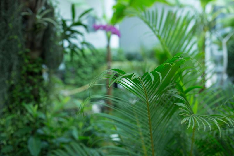 هتل Marvel Holiday Boutique Villa