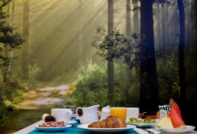 فندق Salamanca Suite Studios