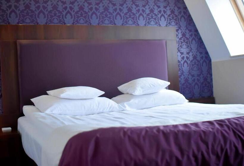 בית מלון כפרי Zamek Centrum