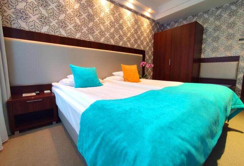 בית מלון כפרי Zamek Centrum