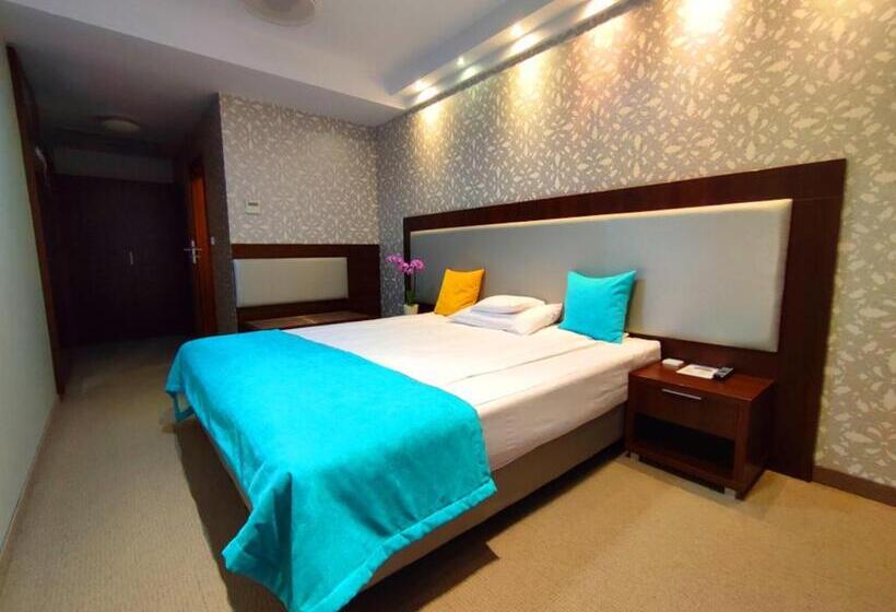 בית מלון כפרי Zamek Centrum