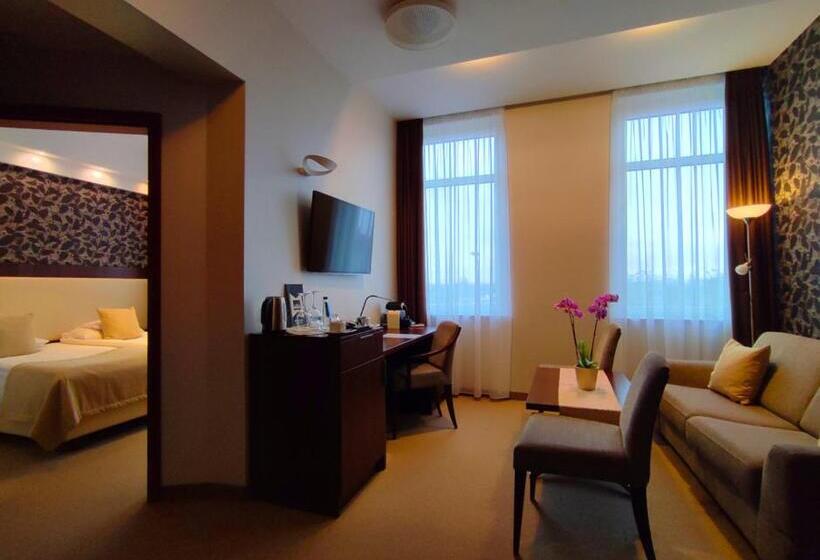 בית מלון כפרי Zamek Centrum