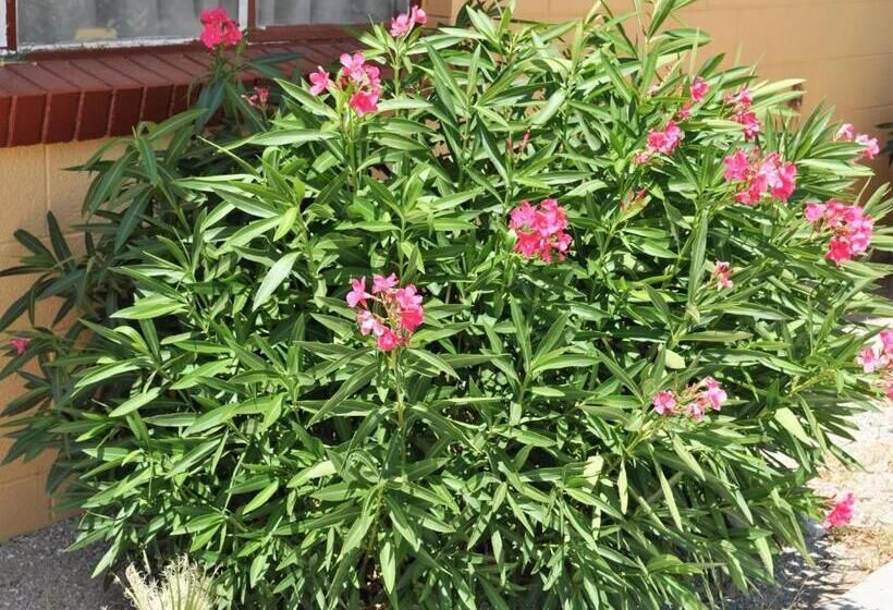 Мотель A Nights Inn