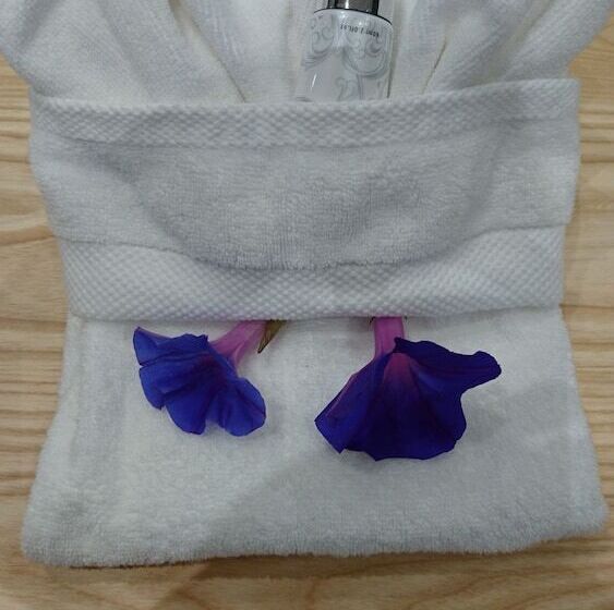 פנסיון Two Fat Owls Guesthouse