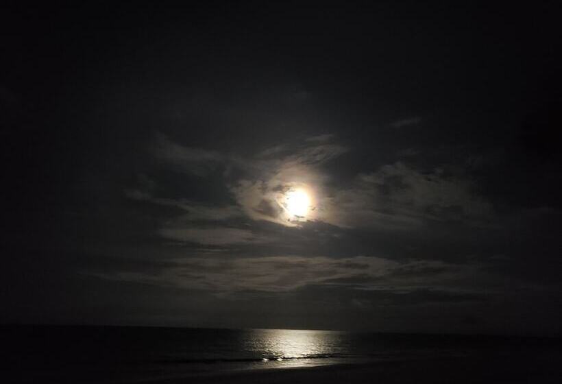 Studio 1 Motel   Daytona Beach