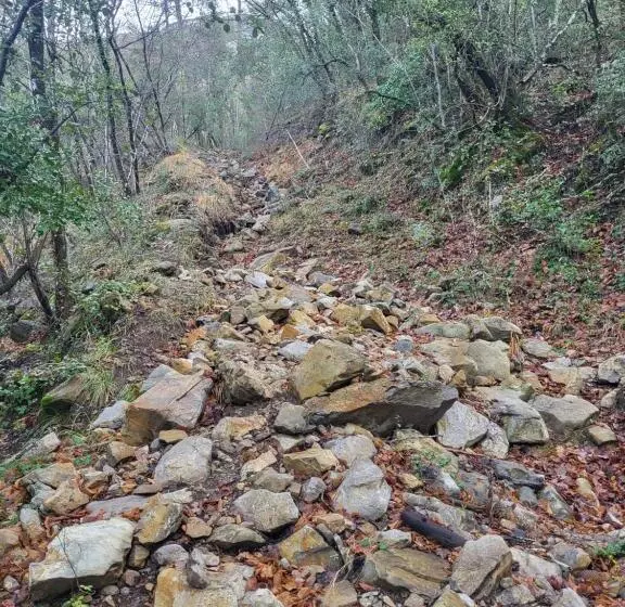 Aamiaismajoitus (B&B) Lou Mas Del Ranc