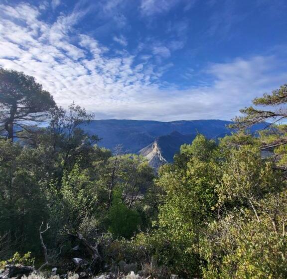 ベッドアンドブレックファースト Lou Mas Del Ranc