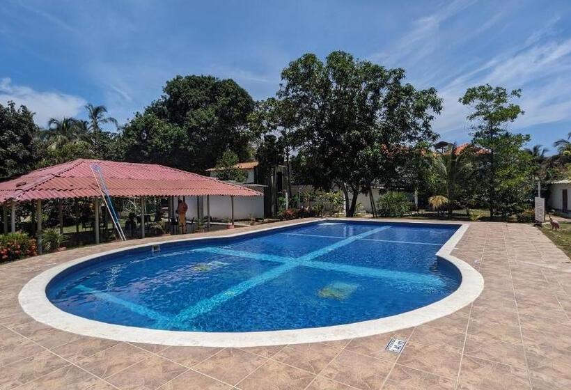 ホテル Beach Life Palomino & Beach Club