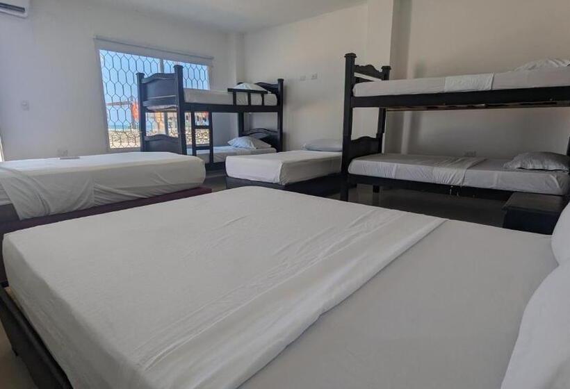 ホテル Beach Life Palomino & Beach Club