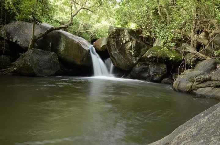 Hotel Mango Village Resort