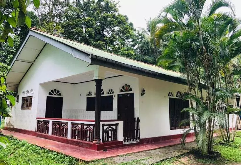 Majatalo Dana S Villa