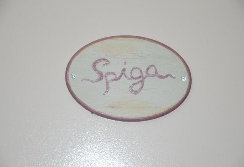 بنسيون Don Mimí L Affittacamere