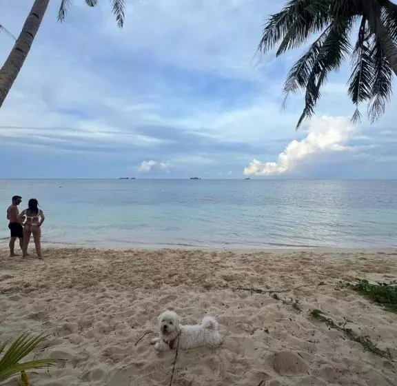 پانسیون Summer Stay Sunset Room