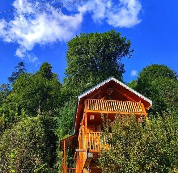 ペンション The Tree Top Treehouse Jibhi