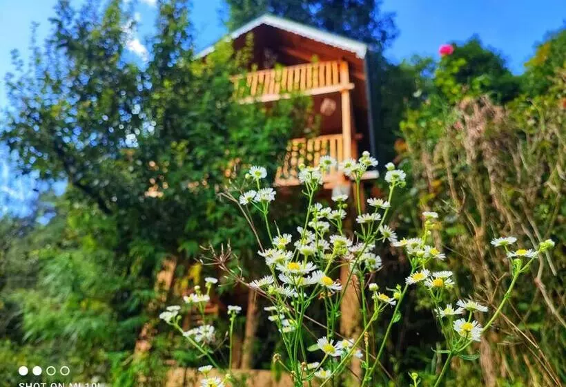ペンション The Tree Top Treehouse Jibhi