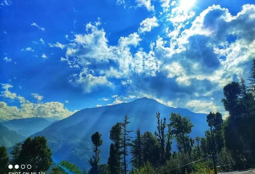 ペンション The Tree Top Treehouse Jibhi