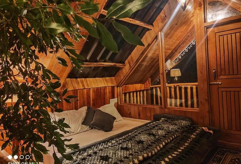 פנסיון The Tree Top Treehouse Jibhi