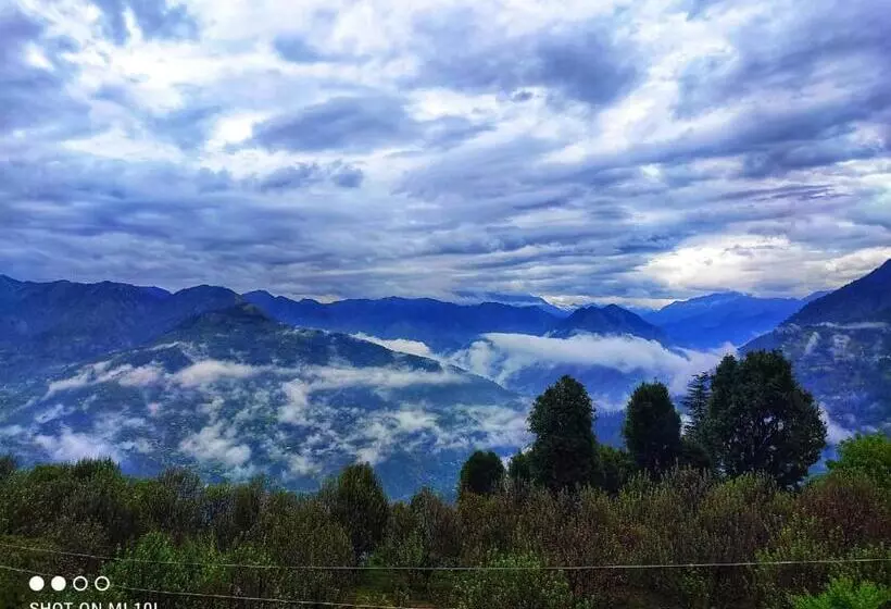 ペンション The Tree Top Treehouse Jibhi