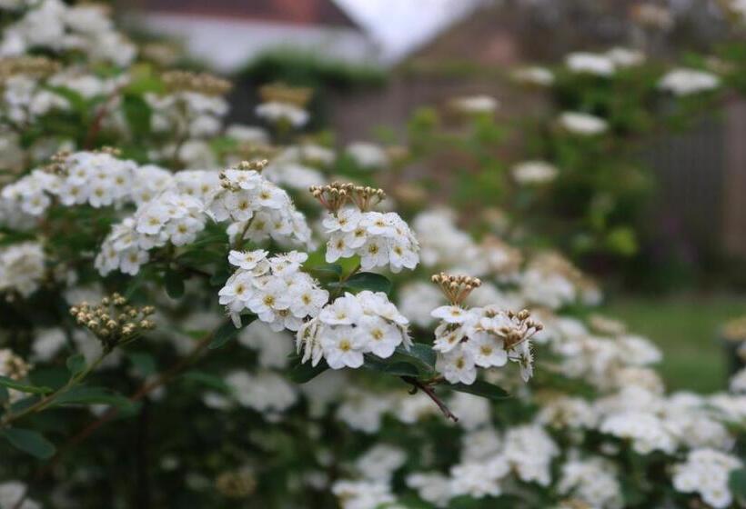 住宿加早餐  Chambre D Hôte Fleurie