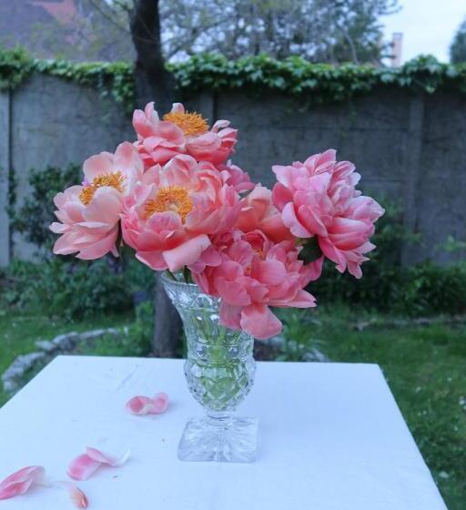 住宿加早餐  Chambre D Hôte Fleurie