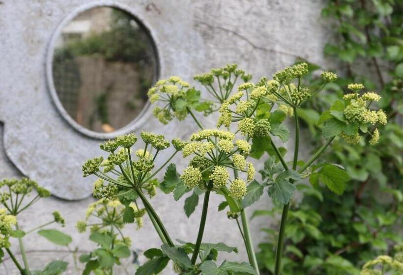 住宿加早餐  Chambre D Hôte Fleurie