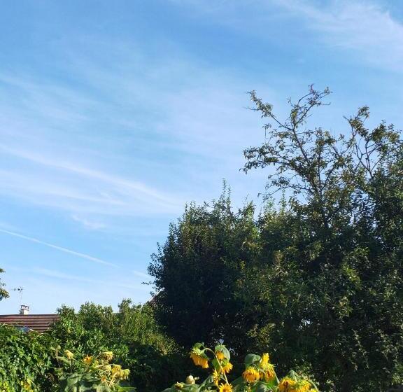 住宿加早餐  Chambre D Hôte Fleurie