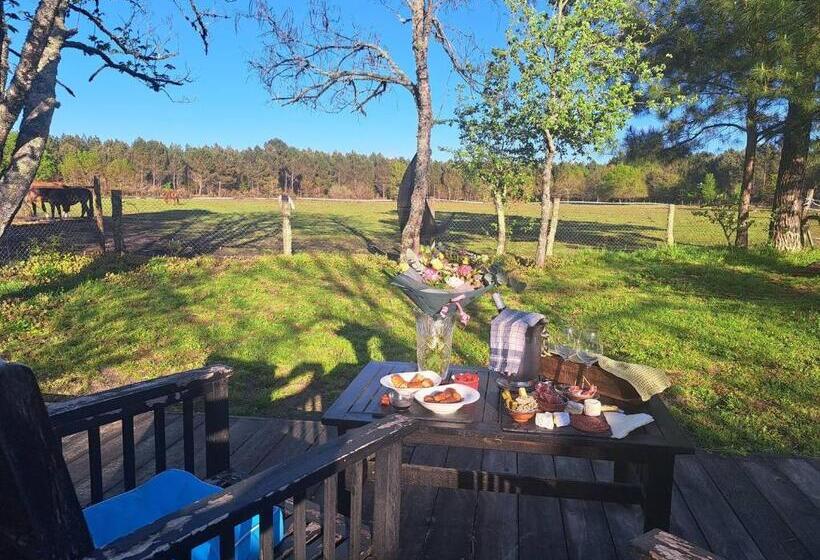 민박 Domaine L Orée Du Marais