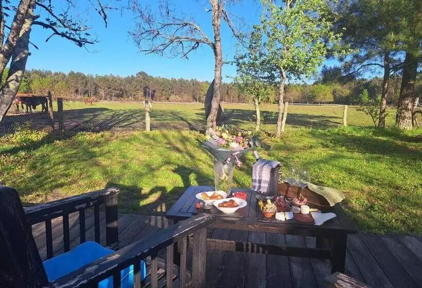 Aamiaismajoitus (B&B) Domaine L Orée Du Marais