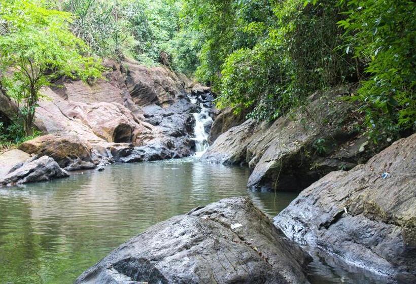 فندق Algama Ella Resort