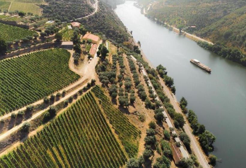 هتل Quinta Dona Matilde