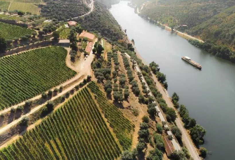 Hotelli Quinta Dona Matilde