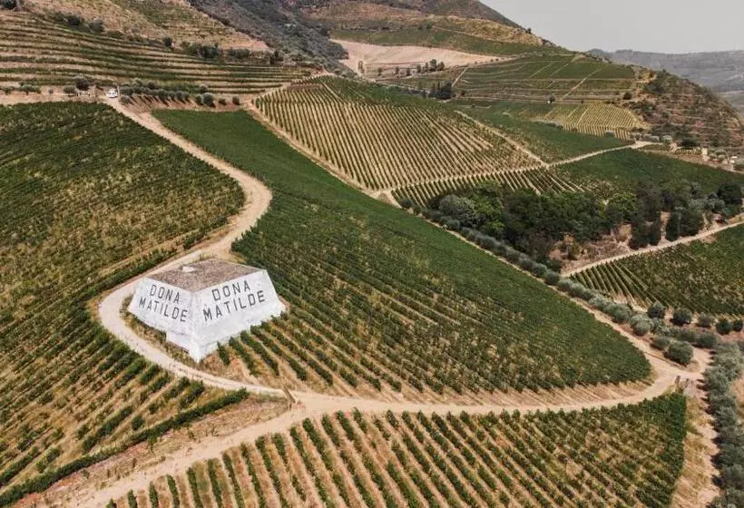 Hotelli Quinta Dona Matilde