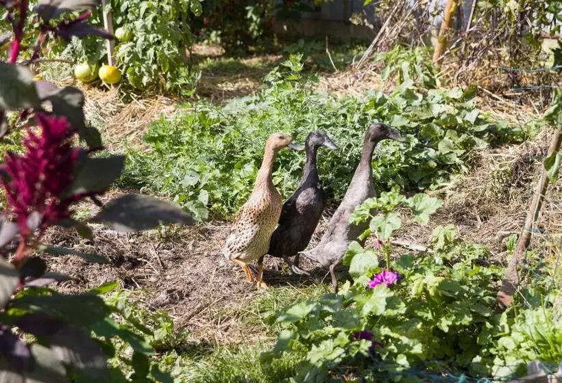 Majatalo La Ferme Du Tilleul Chambres D Hôtes Tout Conforts   Familiale   Entre Amis   Pro