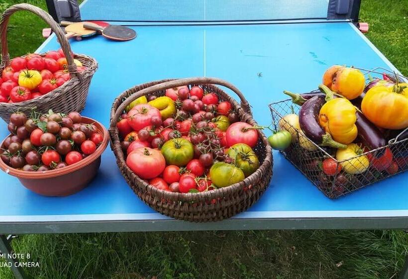 Pension La Ferme Du Tilleul Chambres D Hôtes Tout Conforts   Familiale   Entre Amis   Pro