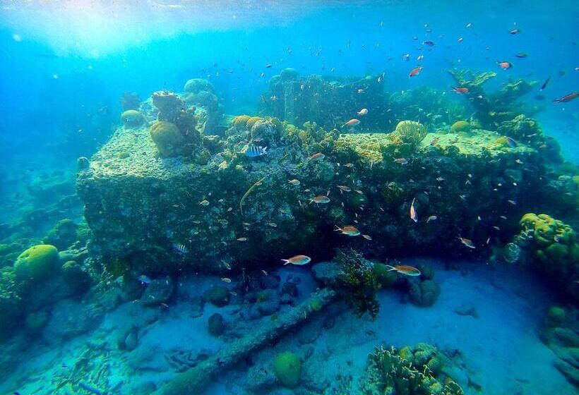 Beachfront Palapa21 Jan Thiel