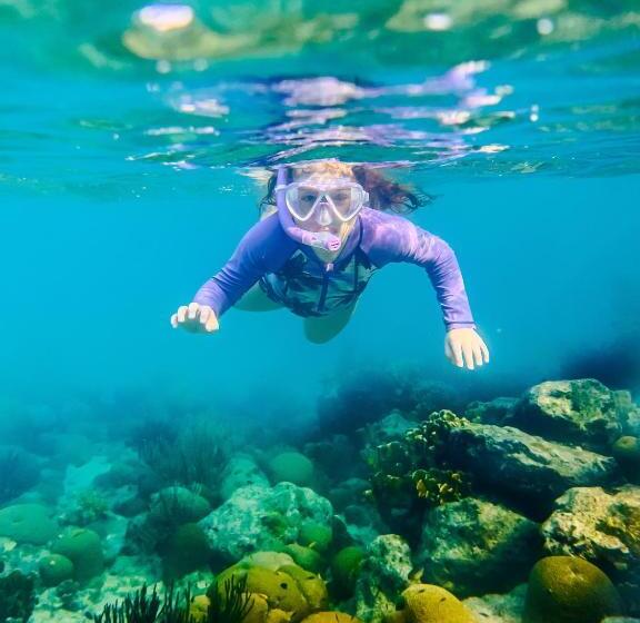 Beachfront Palapa21 Jan Thiel