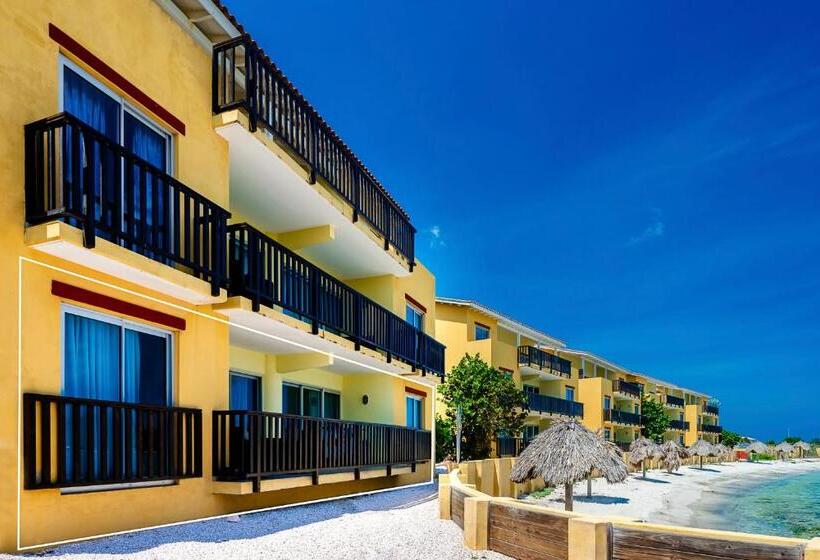 Beachfront Palapa21 Jan Thiel