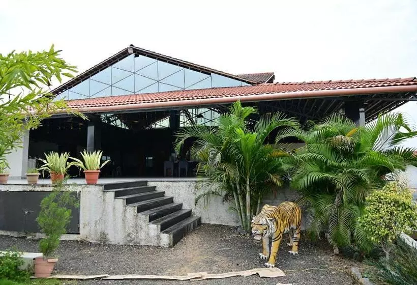Green Gold Resort
